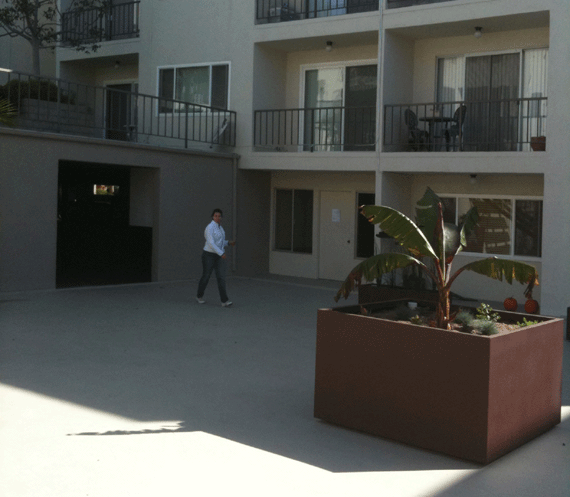 Large 60" x 60" metal planters at a condominium complex. 