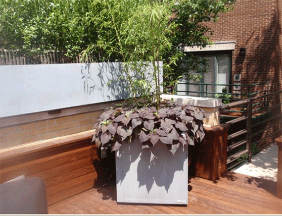 Rooftop Planters made of aluminum metal with an oxidized zinc finish
