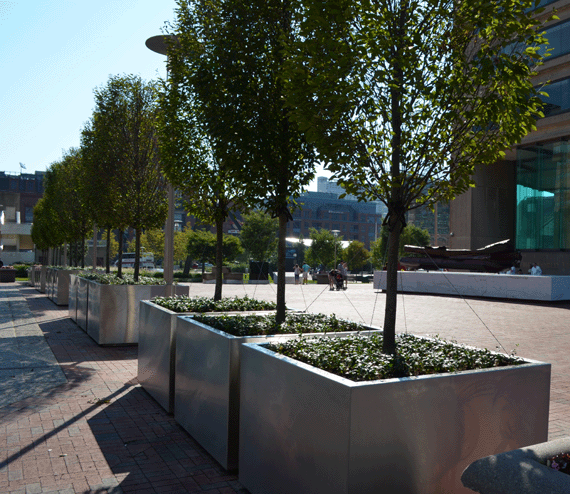 Heavy Duty stainless Steel Planters in front of a municipal building