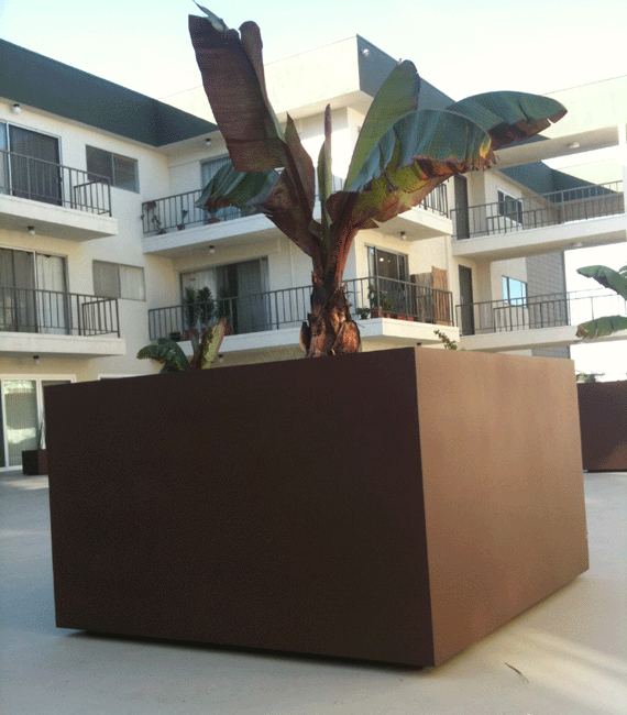 Closeup view of large metal planter with a tree planting
