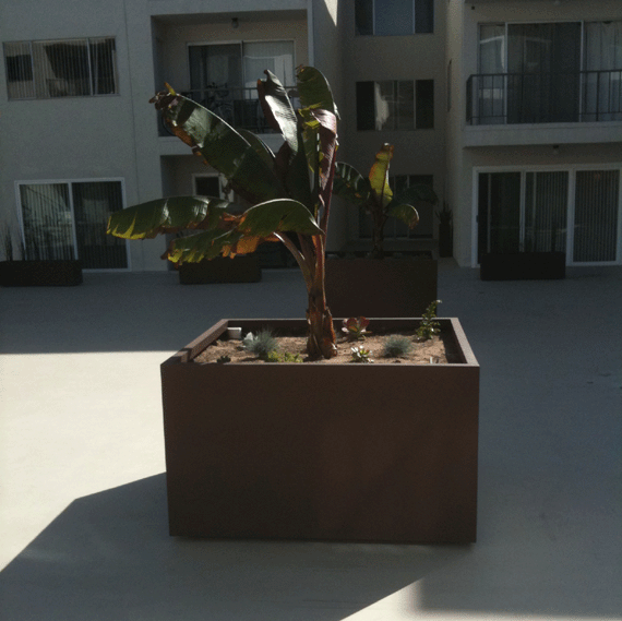 oversized cube planter in the middle of a rooftop deck