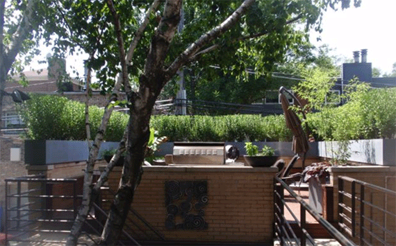 Rooftop planters made of aluminum metal in oxidized zinc with a tree in the middle