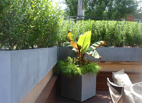 Cube Planter and Linear rectangular Aluminum metal planters with oxidized zinc finish.