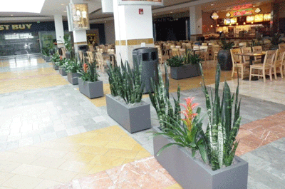 planters for shopping centers