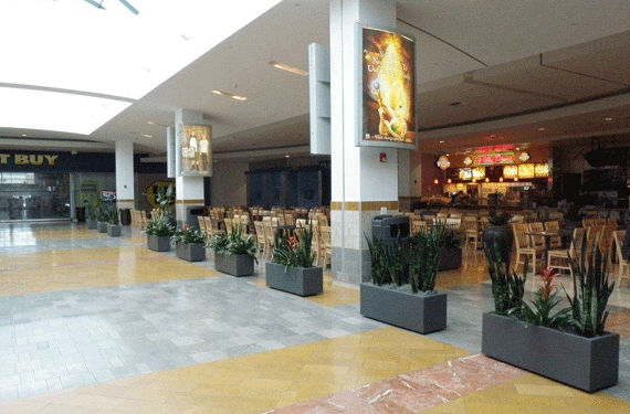 Food court planters at the westfield mall in Olympia Washington