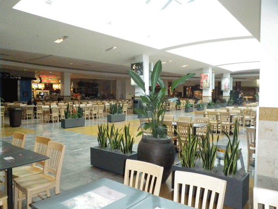 Linear shaped metal planters serving as a divider at a food court in a shopping mall