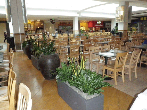 Variety of planters serving as dividers at a modern westfield shopping mall food court.
