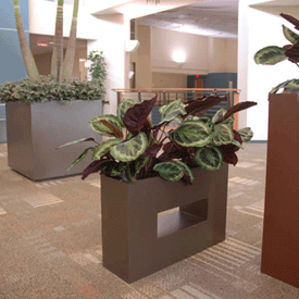 Horizontal Box Planter Indoors Bronze commerical installation