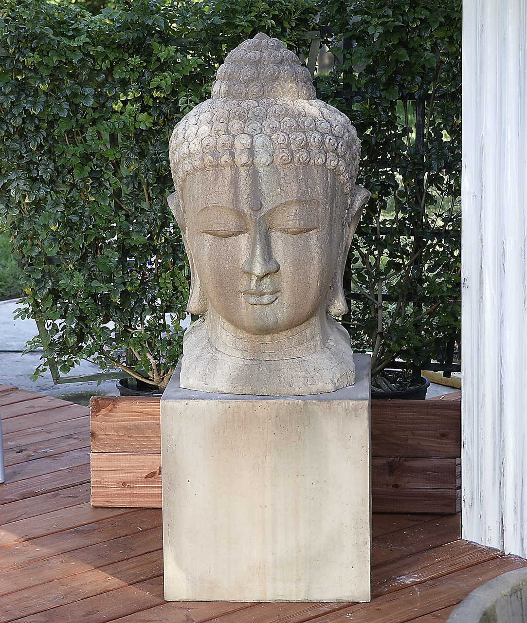 Buddha Head Statue Ancient Garden, Stone Buddha Head Garden Statue