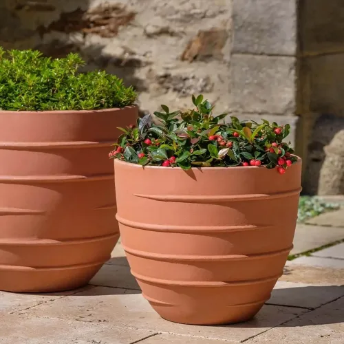 Set of two terra cotta logis short planters with horizontal ridges, filled with greenery and red berries on a stone patio.