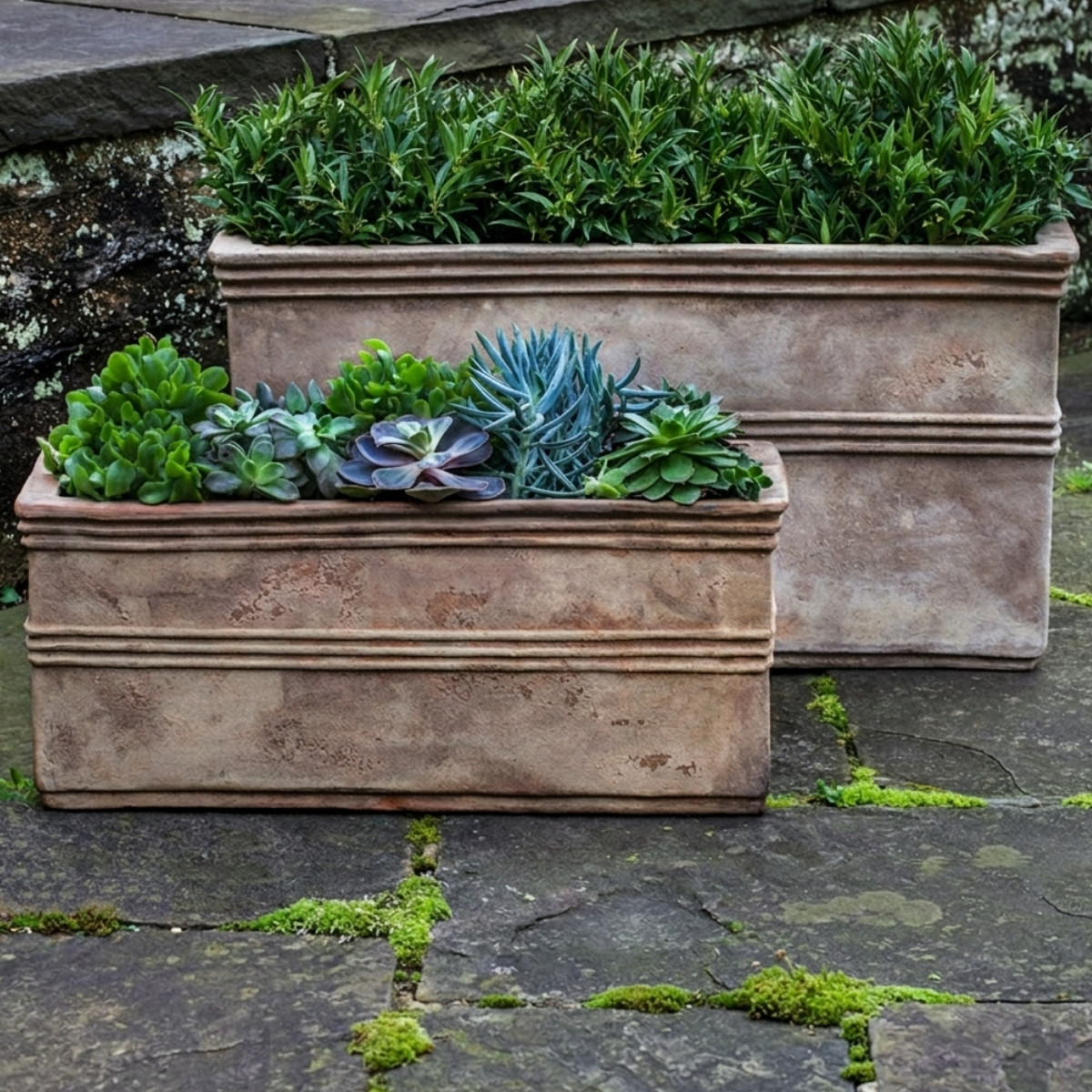 Campania international antico rectangular planter showing terracotta long rectangular planter