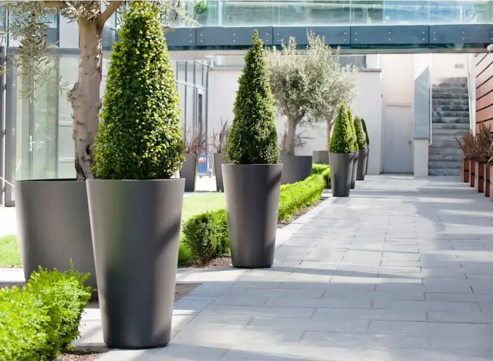 Cement planters alto prod