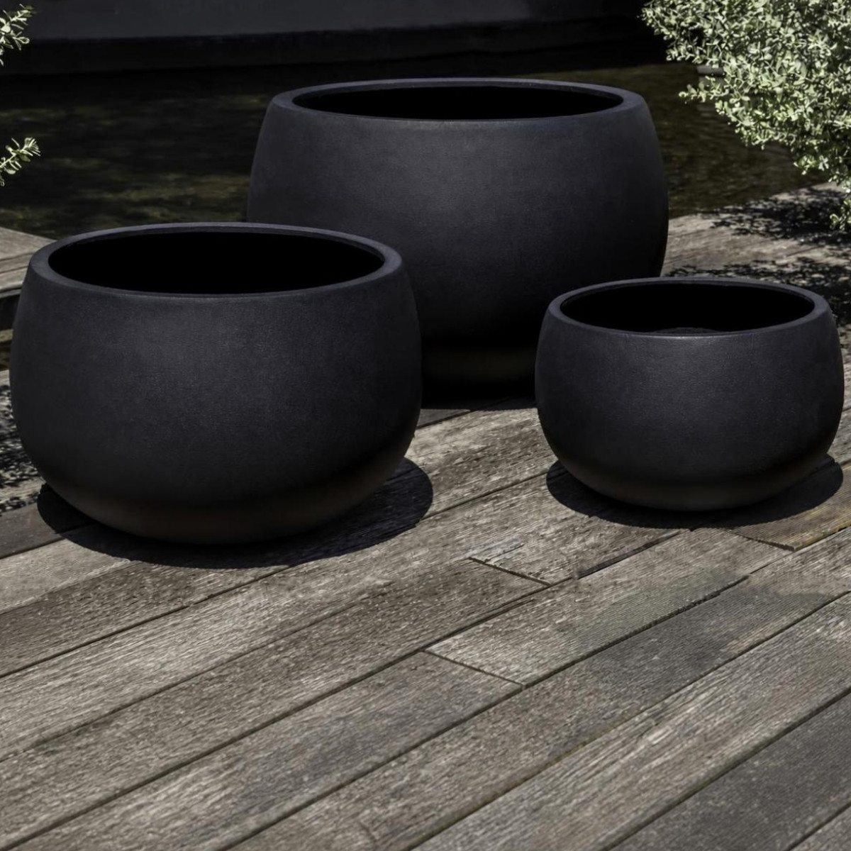 Norfolk planters