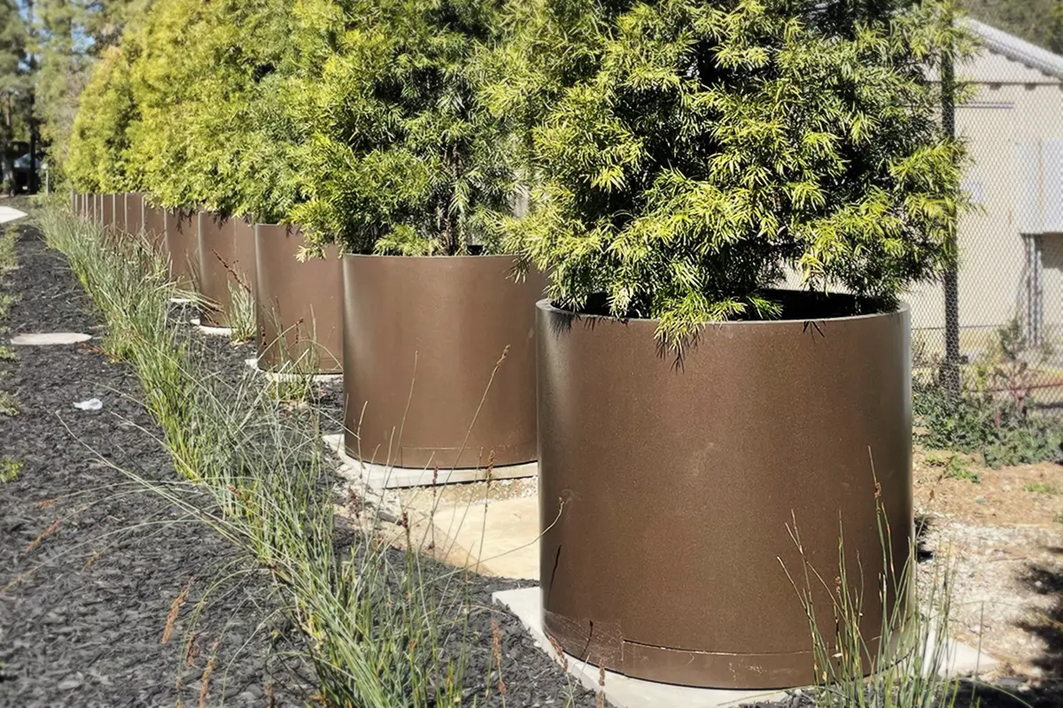 Cylinder planters installed at a college