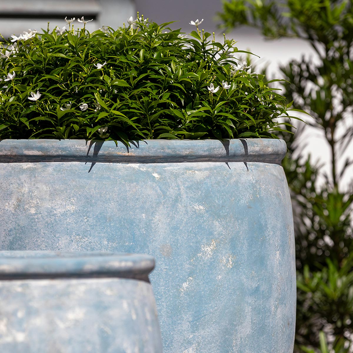 Brooke planter detail (terracotta in murano celeste glaze)