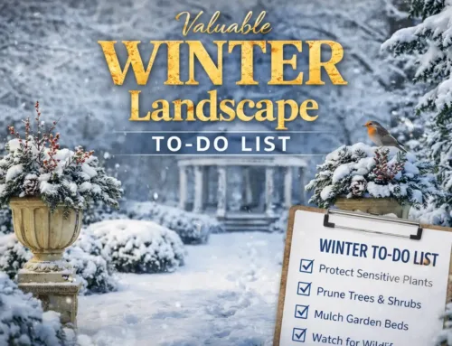 Winter To Do List