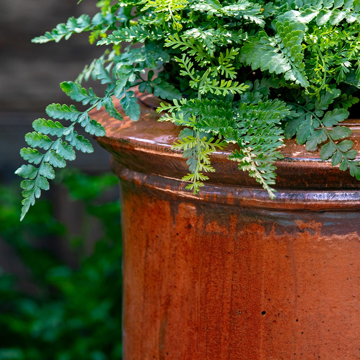 Vaucluse urn detail (terracotta in glazed brunello)